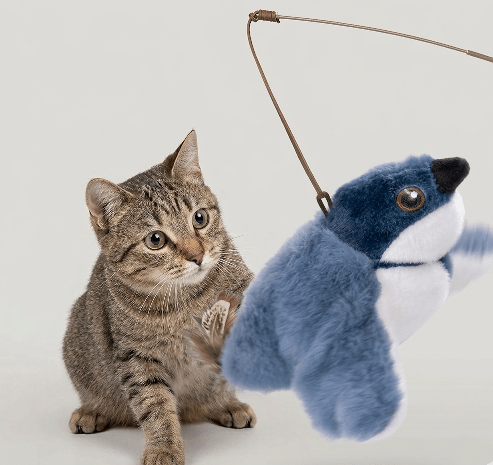 Flapping Bird Cat Toy - ShopLaredo