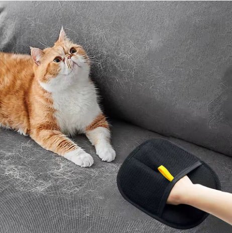 Fur Remover Glove - ShopLaredo