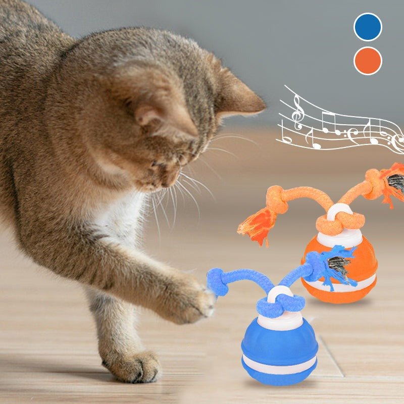 Interactive Pet Rolling Ball Toy USB Rechargeable - ShopLaredo