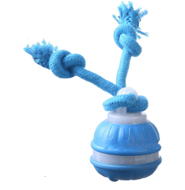 Interactive Pet Rolling Ball Toy USB Rechargeable - ShopLaredo