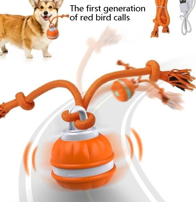 Interactive Pet Rolling Ball Toy USB Rechargeable - ShopLaredo