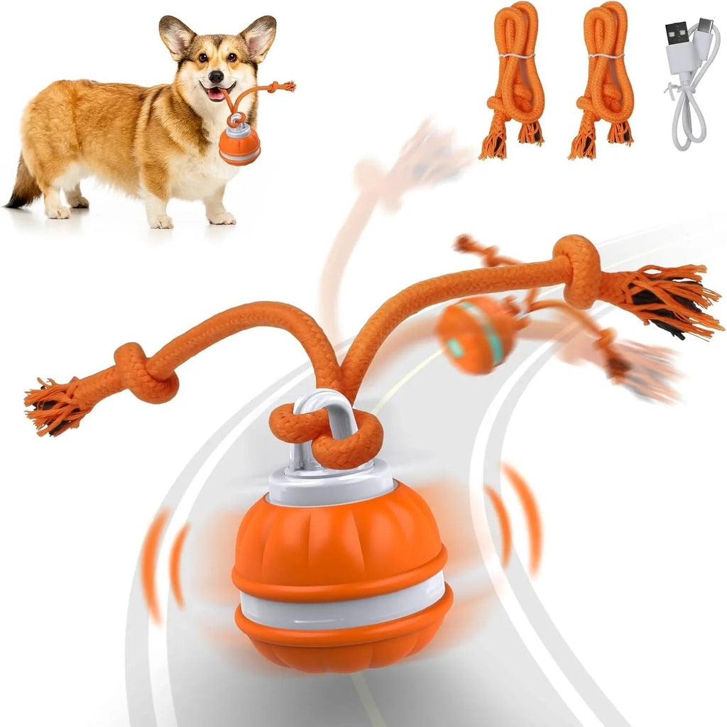 Interactive Pet Rolling Ball Toy USB Rechargeable - ShopLaredo
