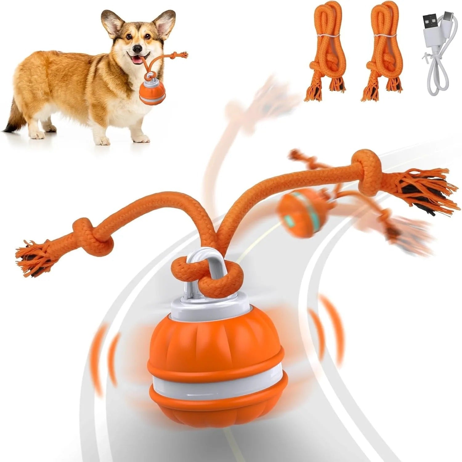 Interactive Pet Rolling Ball Toy USB Rechargeable - ShopLaredo