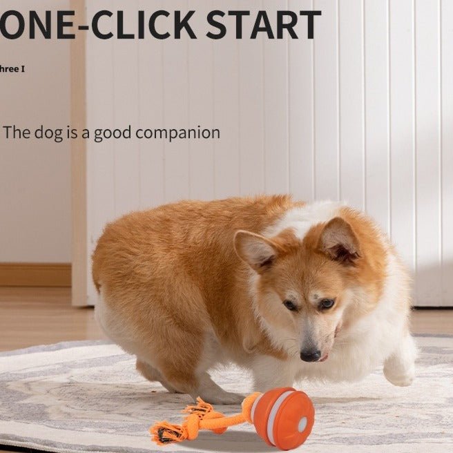 Interactive Pet Rolling Ball Toy USB Rechargeable - ShopLaredo