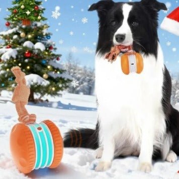 Interactive Pet Rolling Ball Toy USB Rechargeable - ShopLaredo
