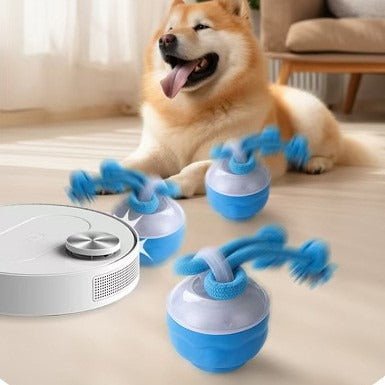 Interactive Pet Rolling Ball Toy USB Rechargeable - ShopLaredo