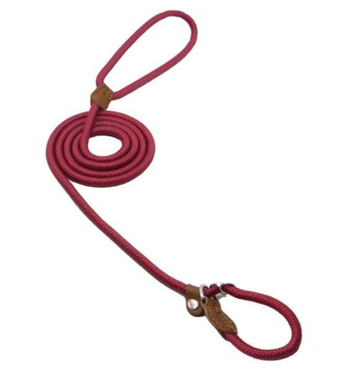 Nylon Pup Set - ShopLaredo