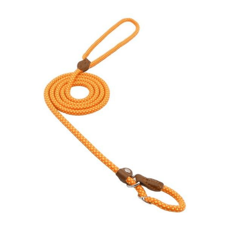 Nylon Pup Set - ShopLaredo