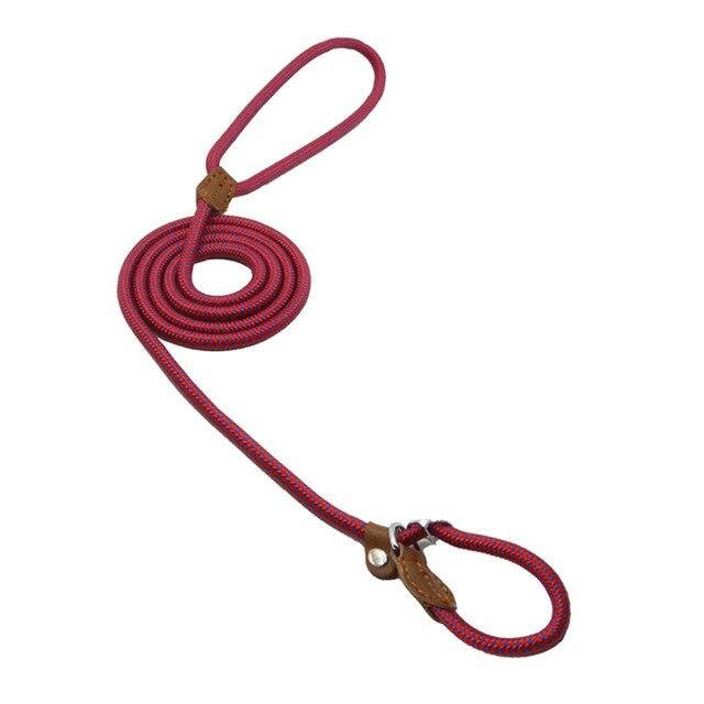 Nylon Pup Set - ShopLaredo