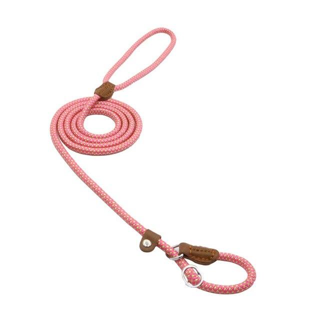 Nylon Pup Set - ShopLaredo