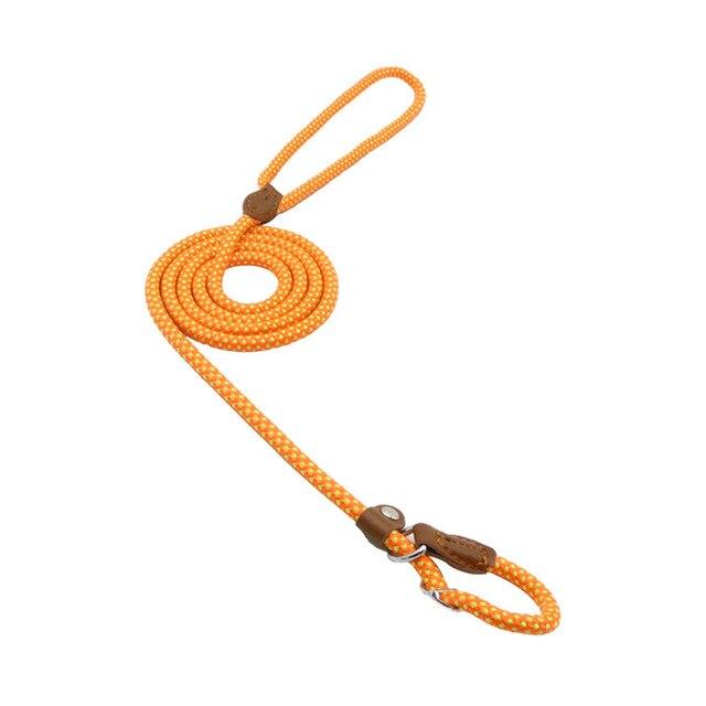 Nylon Pup Set - ShopLaredo
