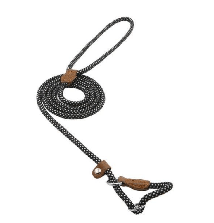 Nylon Pup Set - ShopLaredo
