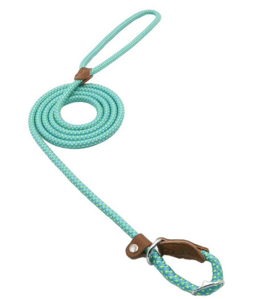 Nylon Pup Set - ShopLaredo