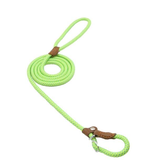 Nylon Pup Set - ShopLaredo