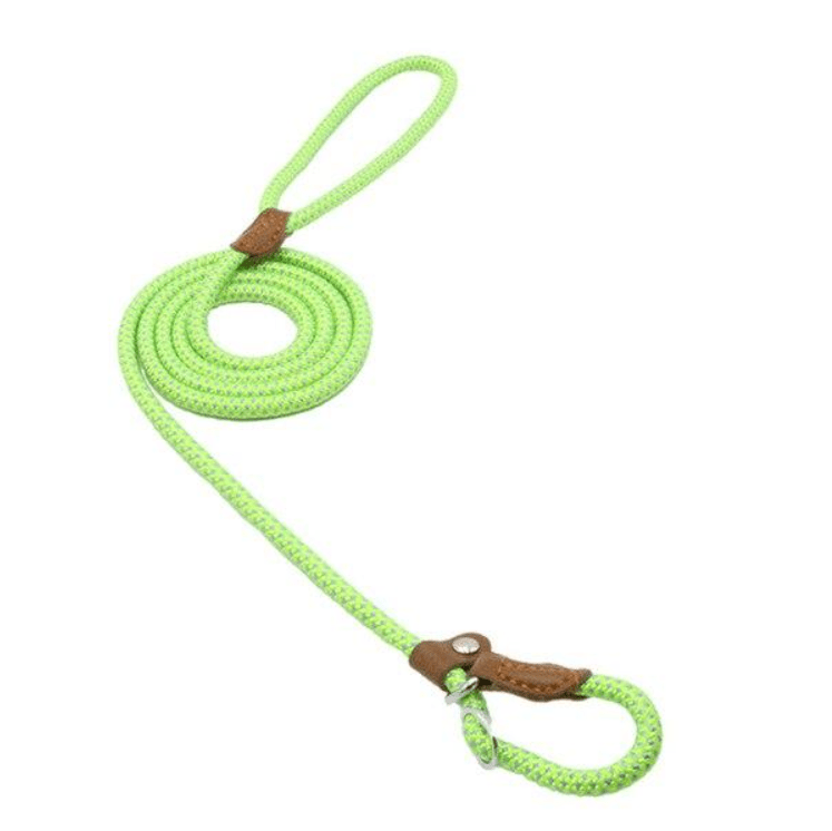 Nylon Pup Set - ShopLaredo