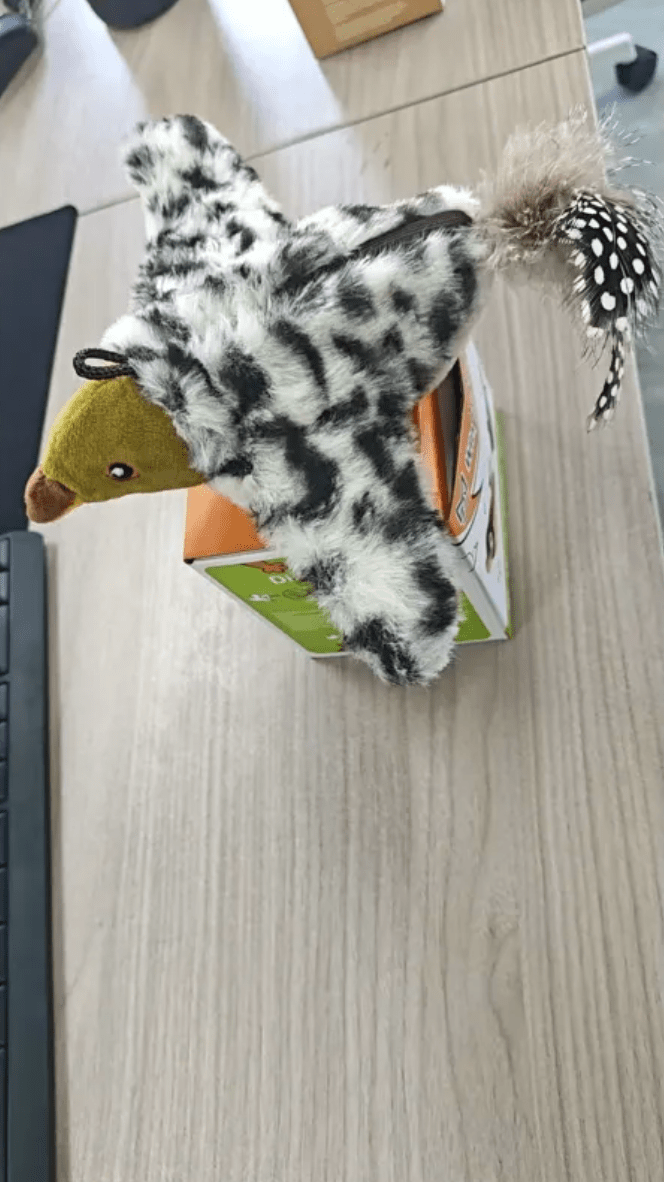 Plush Bird Pet Toy - ShopLaredo
