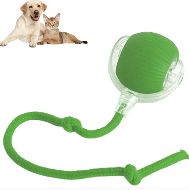 Smart Rolling Pet Ball - ShopLaredo