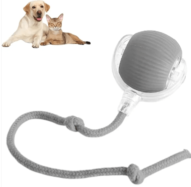 Smart Rolling Pet Ball - ShopLaredo